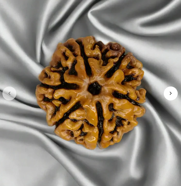 Authentic Nepali Rudraksha For You